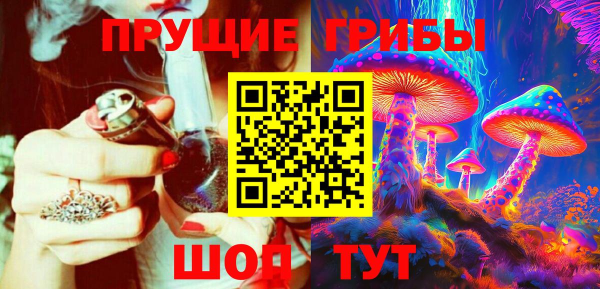 Псилоцибиновые грибы Psilocybe  где купить наркоту  Псилоцибиновые грибы ЛСД  Медногорск  Вход с VPN 